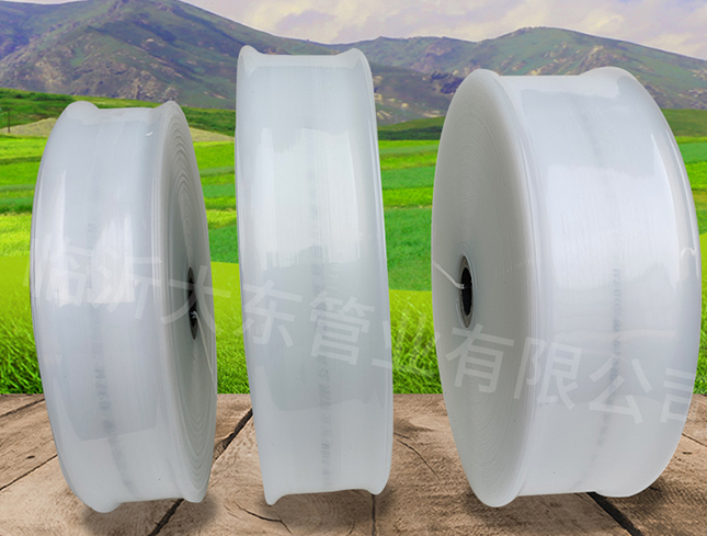 白水带